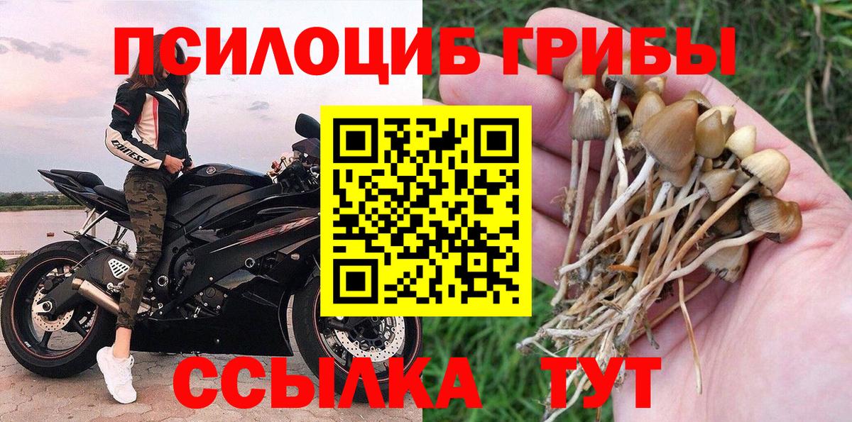 Галлюциногенные грибы Psilocybe  Галлюциногенные грибы Psilocybe  Барнаул  Вход с VPN 